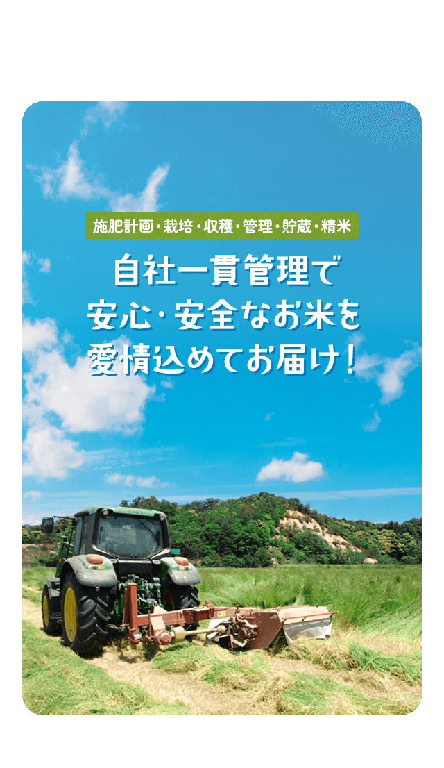 施肥計画・栽培・収穫・管理・貯蔵・精米 自社一貫管理で安心・安全なお米を愛情込めてお届け!
